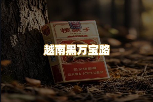越南黑万宝路